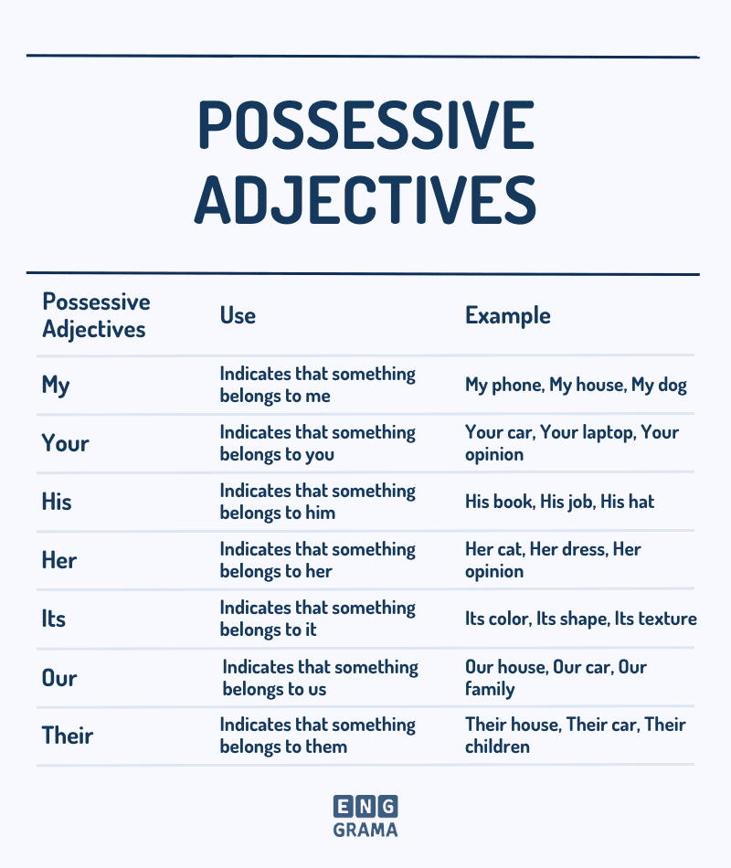 Possessive Adjectives in English with Their Uses and Examples in Sentences - Enggrama